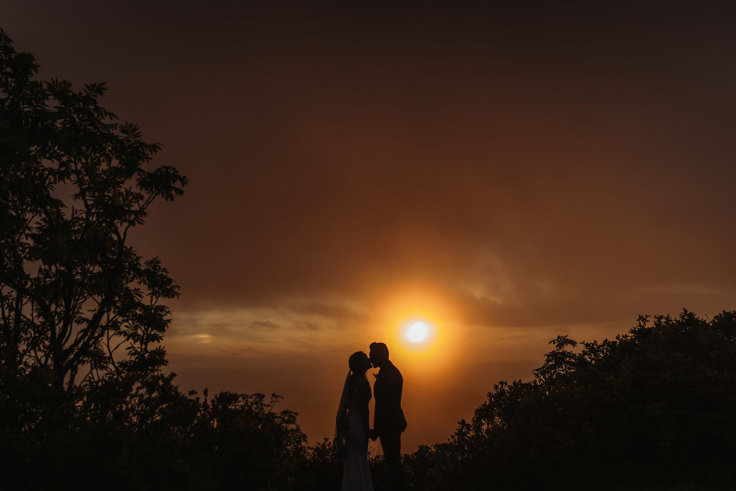 AmyHaynesPhotography